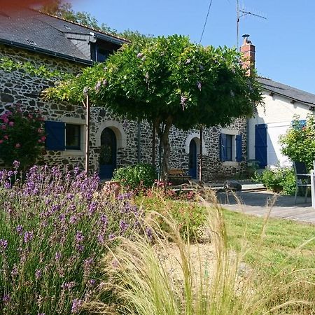 Murmures De Loire Montjean-sur-Loire Exterior photo